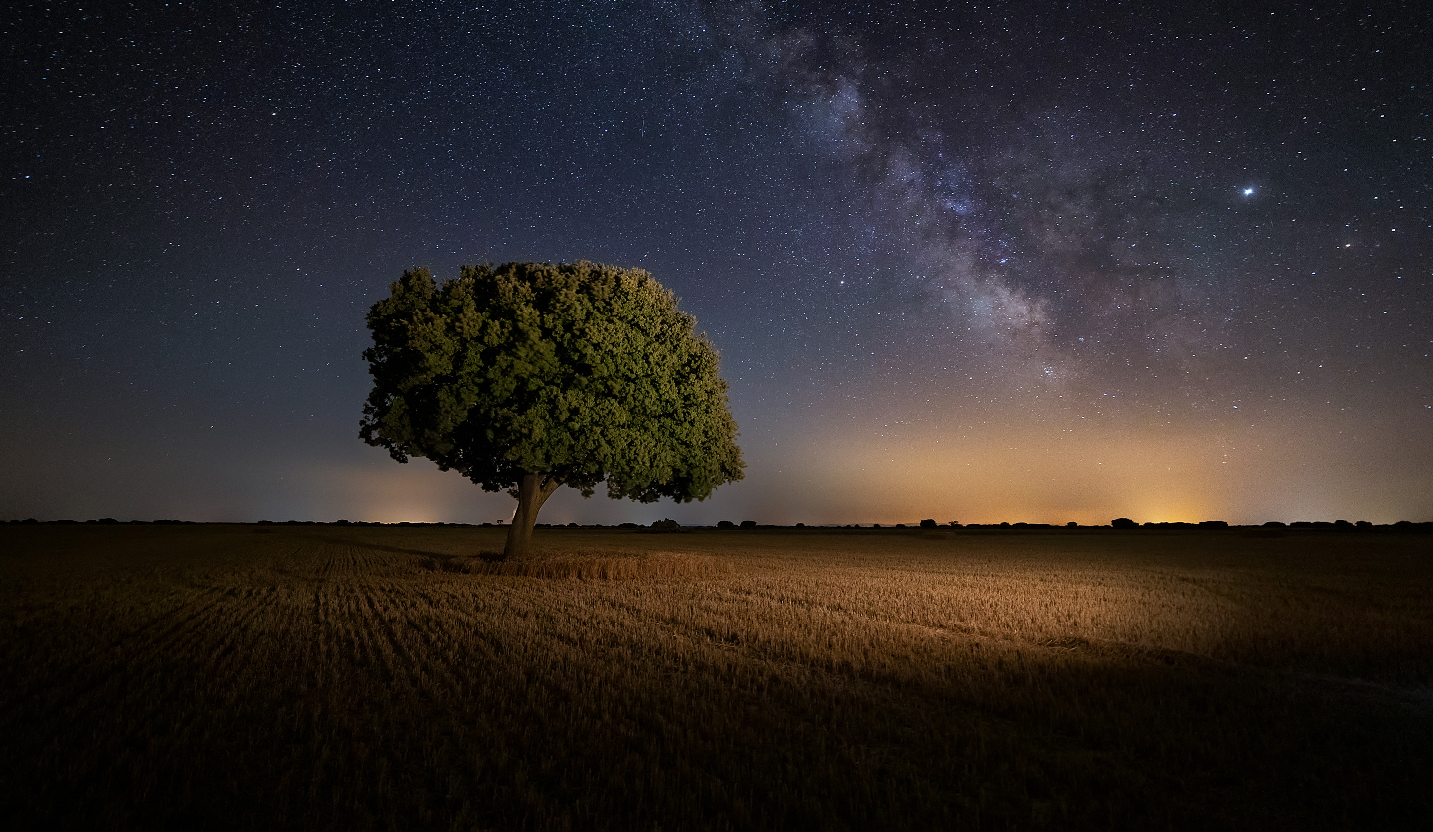 Звездное небо в поле. Поле ночью. Дерево ночью. Ночное дерево. Ночное небо с деревьями.